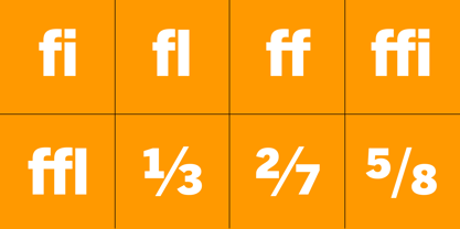 Trade Gothic Next Font Poster 6